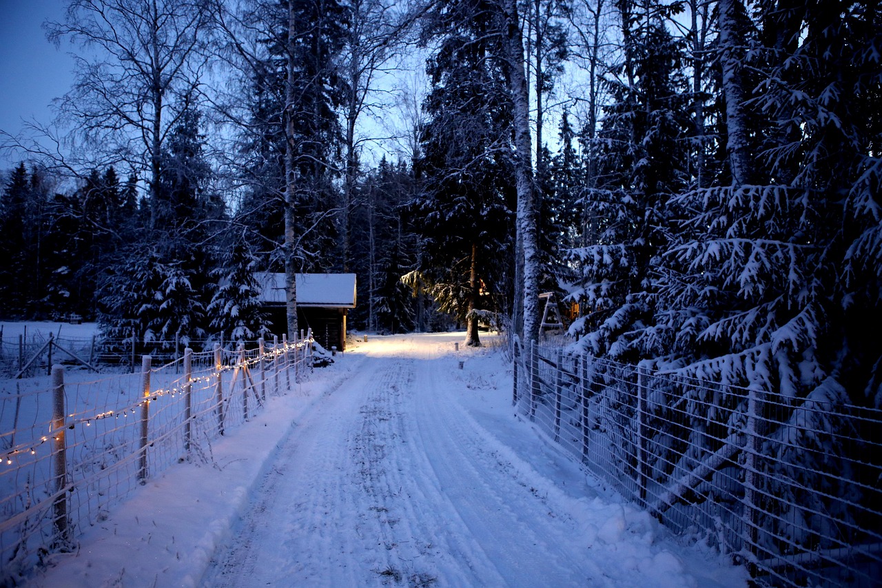 files/dateien/angebote/nature-4687676_1280.jpg